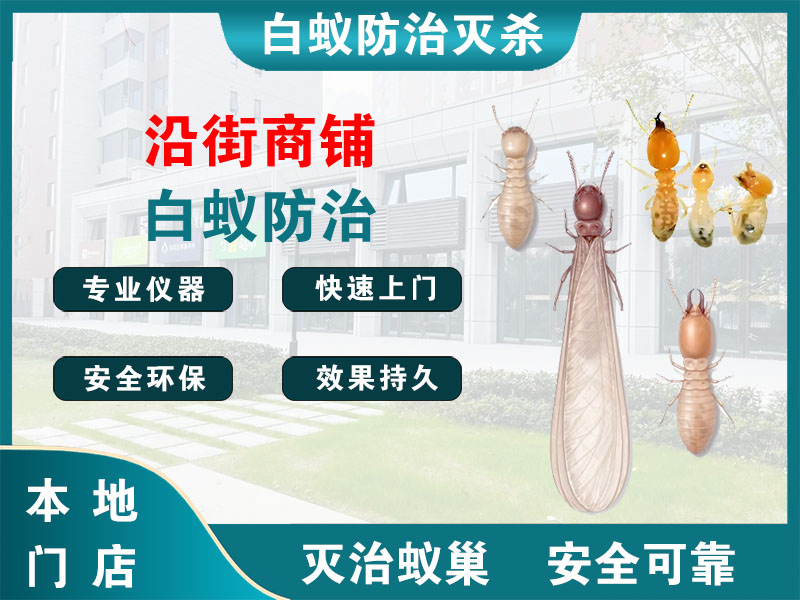 兴化沿街商铺白蚁防治