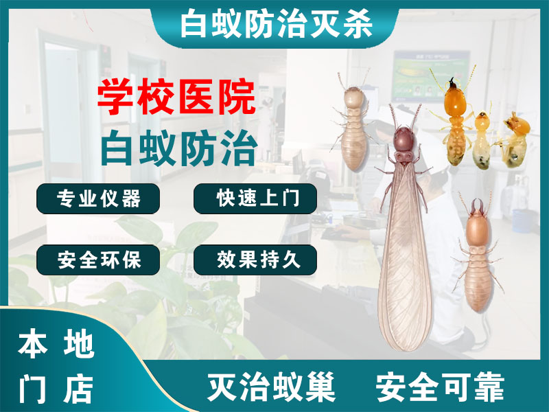 兴化学校医院白蚁防治