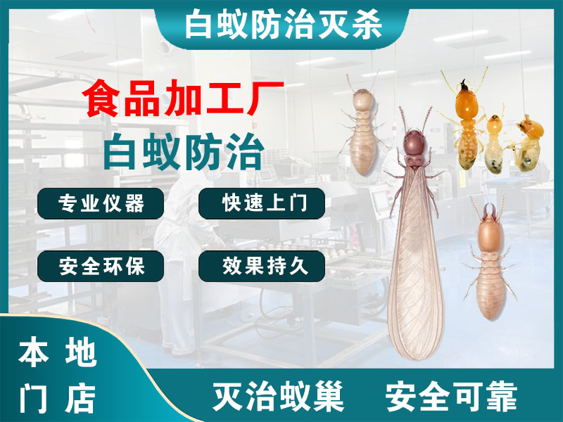 兴化食品加工厂白蚁防治
