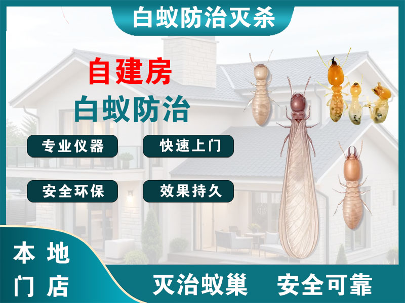 兴化自建房白蚁防治