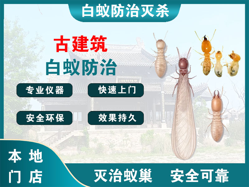 兴化古建筑白蚁防治