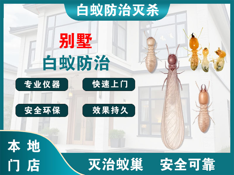 兴化别墅白蚁防治